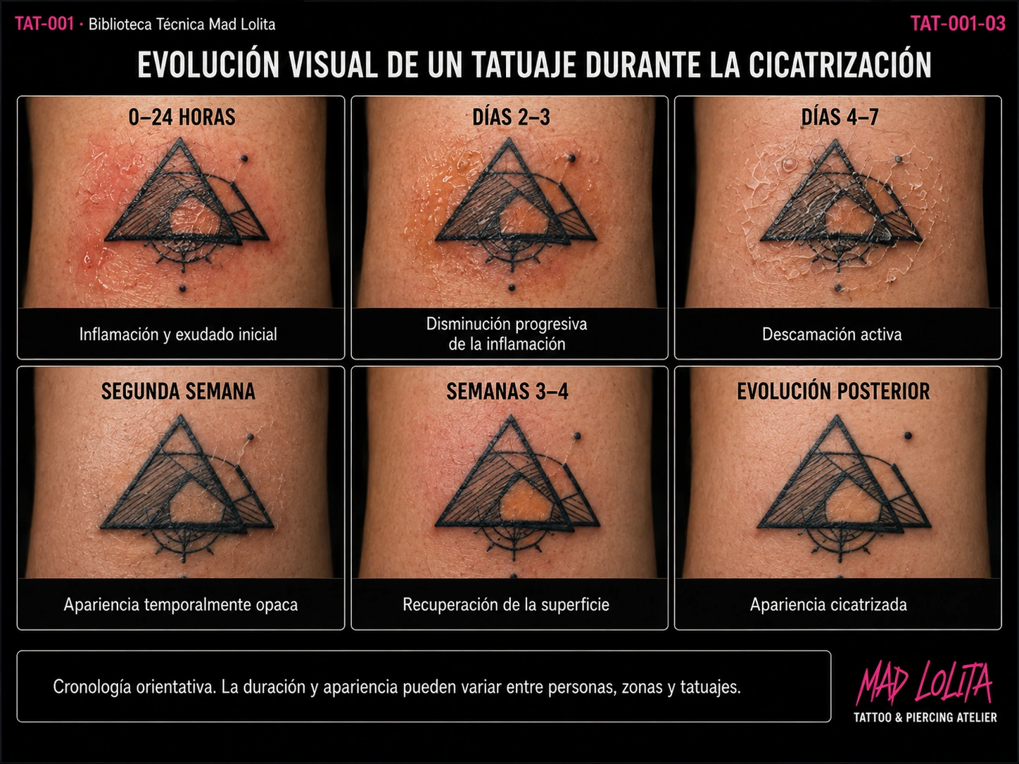 Secuencia hiperrealista que muestra seis momentos habituales de la evolución visual de un tatuaje desde las primeras 24 horas hasta la recuperación de la superficie.