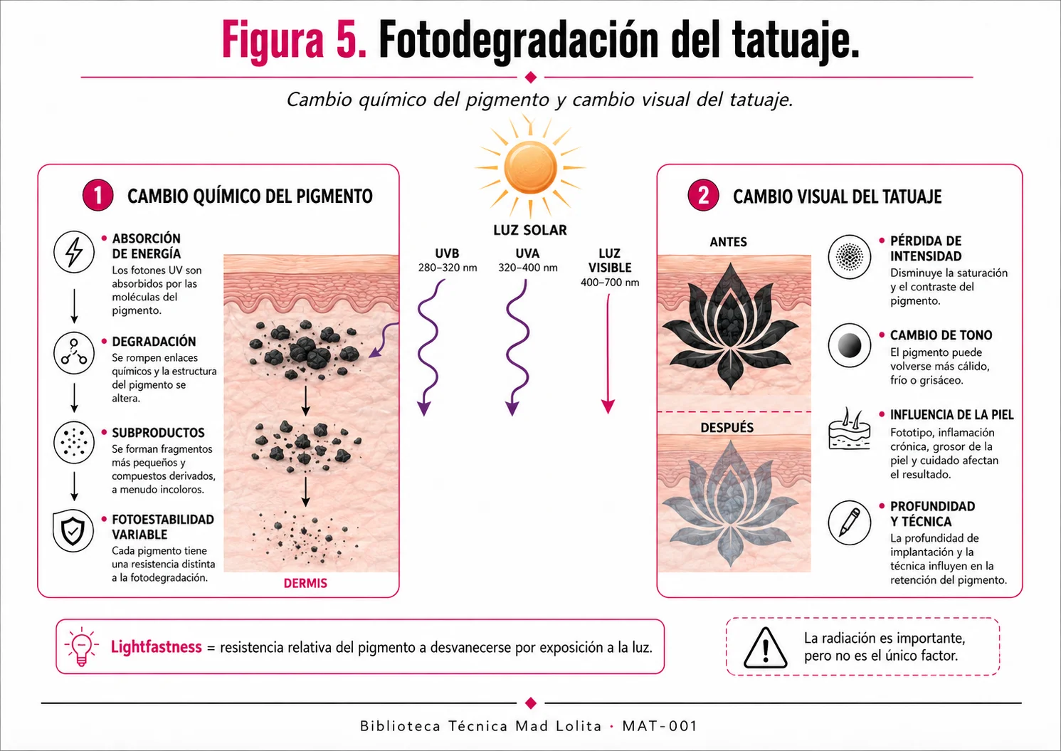 Fotodegradación de pigmentos de tatuaje y cambios de intensidad y tono asociados a la exposición a la luz.